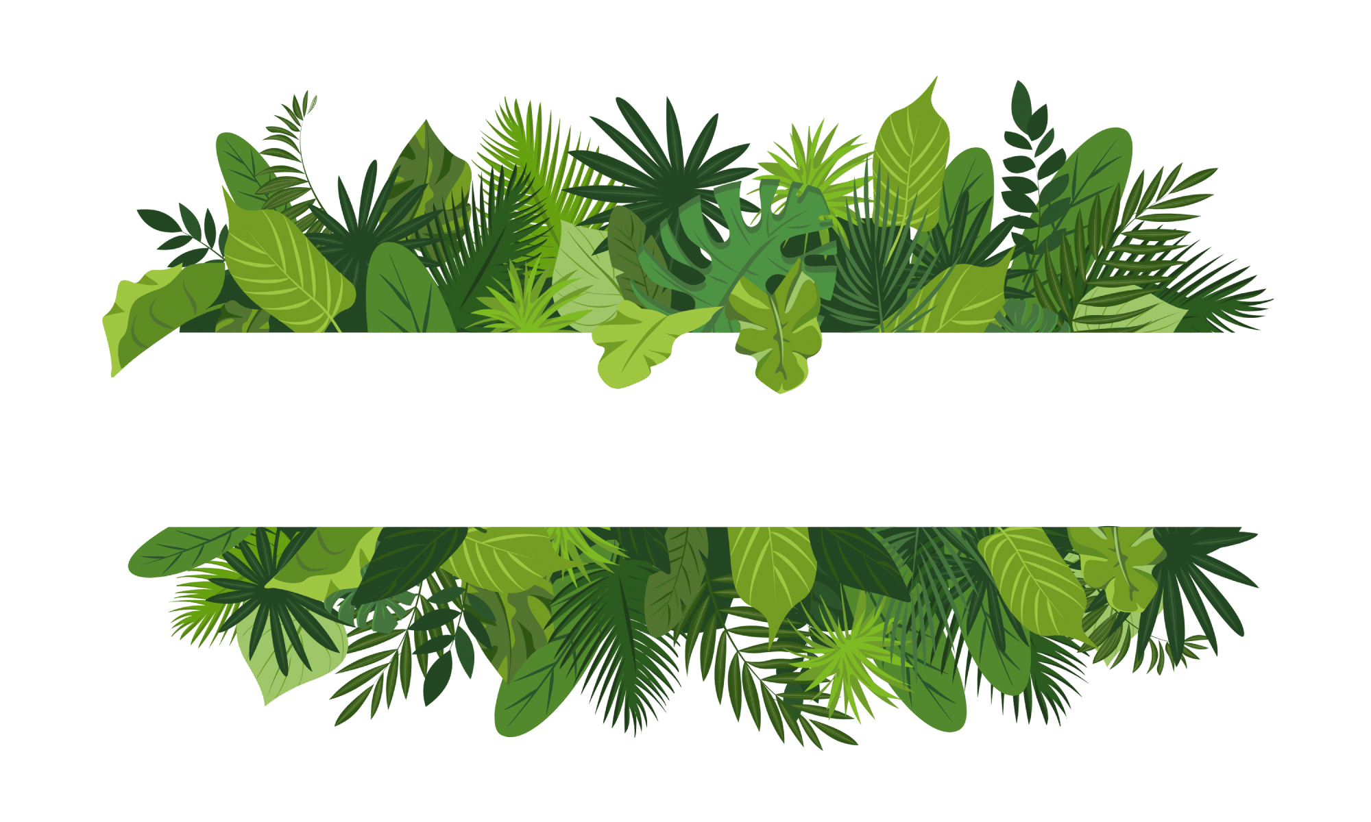 domptez la jungle Agence de référencement